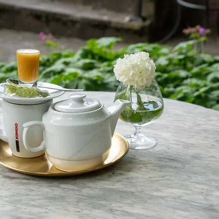 Demetra 贝尔科维察